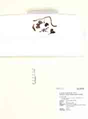 Specimen thumbnail